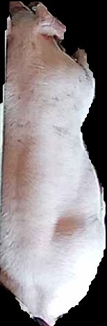 Crop