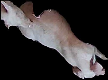 Crop
