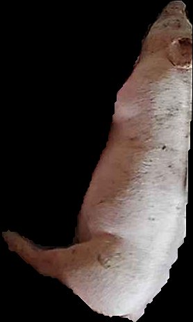 Crop