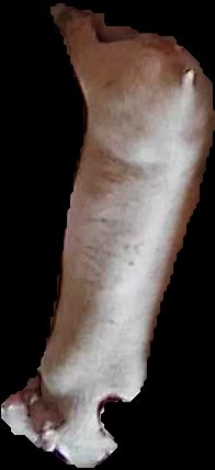 Crop