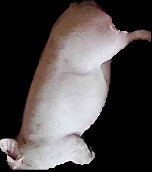 Crop