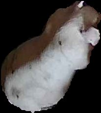 Crop