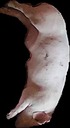 Crop