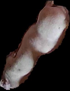 Crop