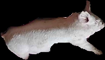 Crop