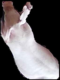 Crop