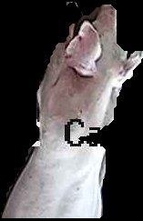 Crop