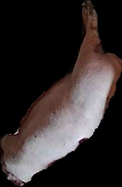Crop