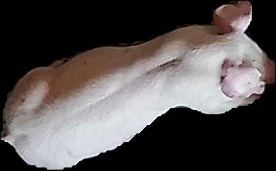 Crop