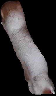 Crop