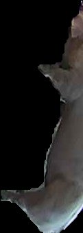 Crop