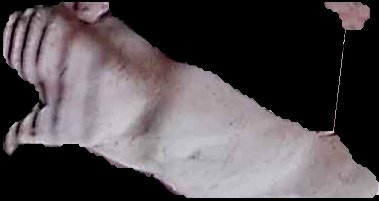 Crop