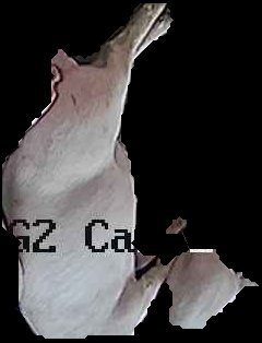 Crop