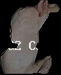 Crop