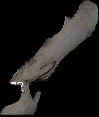 Crop