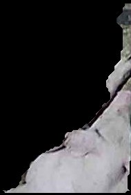 Crop