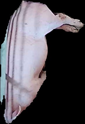 Crop