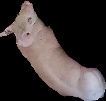 Crop