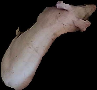 Crop