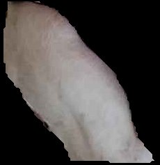 Crop