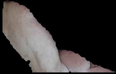 Crop