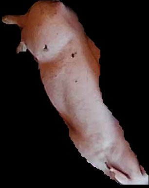 Crop