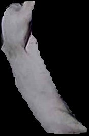 Crop