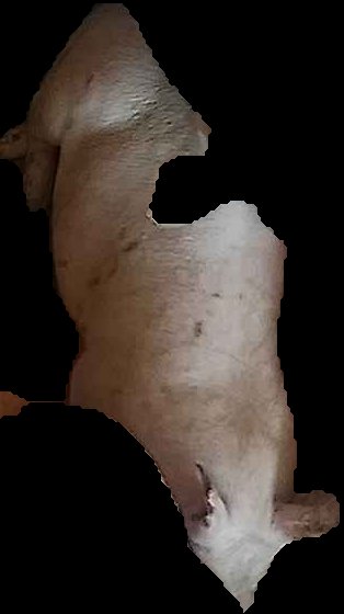 Crop