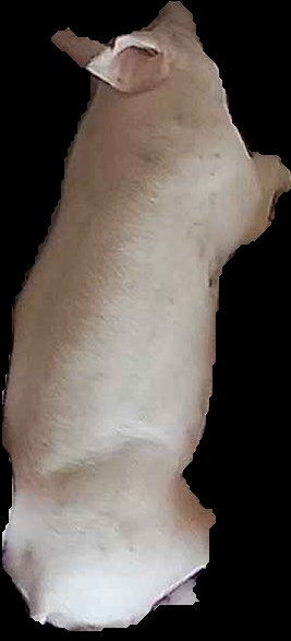 Crop