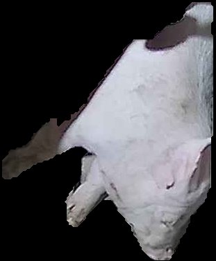 Crop
