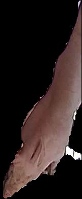 Crop