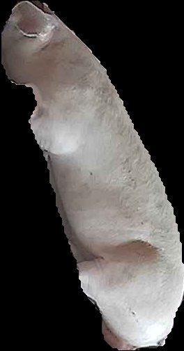 Crop