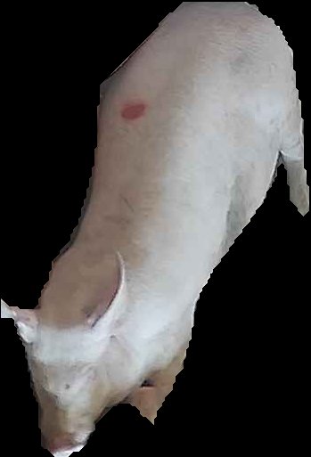 Crop