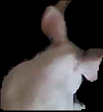 Crop