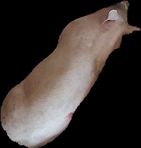 Crop