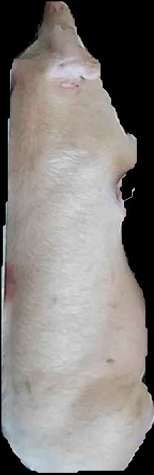 Crop