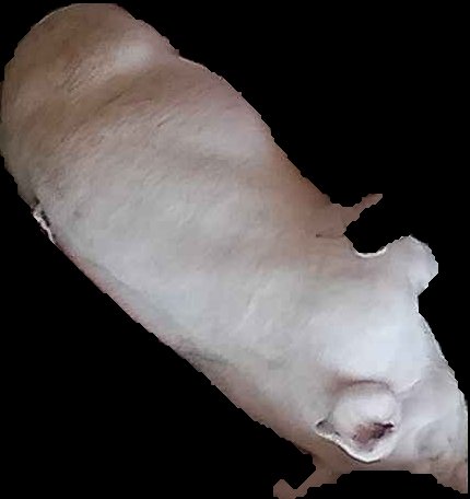 Crop