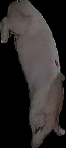 Crop