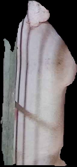 Crop