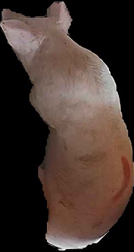 Crop