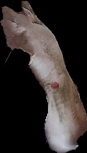Crop