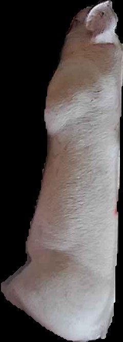 Crop