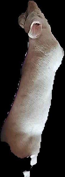 Crop
