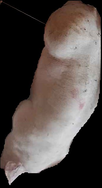 Crop