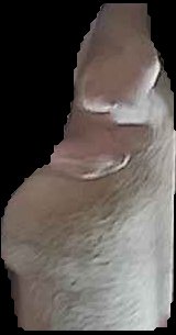 Crop