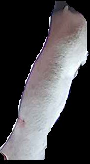 Crop