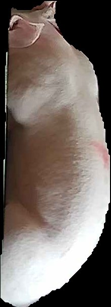Crop