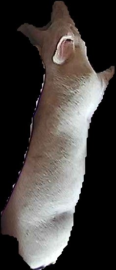 Crop