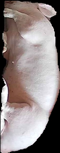 Crop