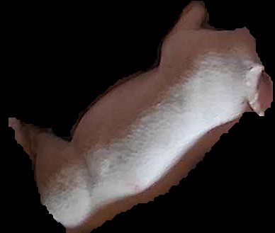 Crop